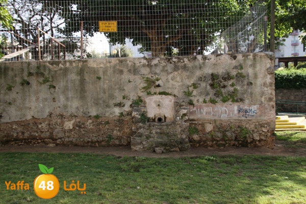 baitandsbeelabokber (7).JPG